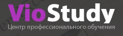 Логотип салона красоты VioStudy